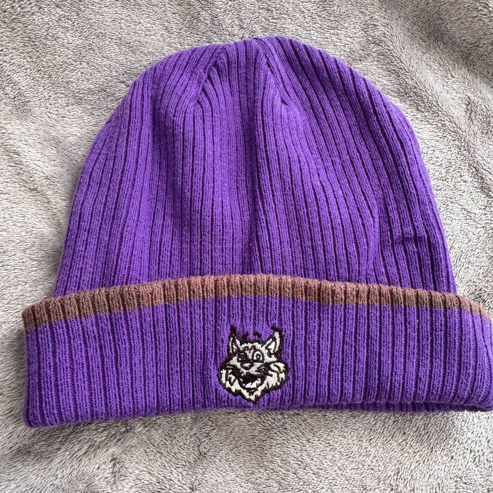 Purple and Brown Kids Beanie